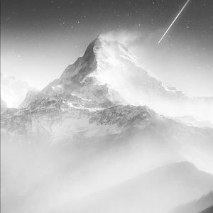 Meet your Posher, Larissa